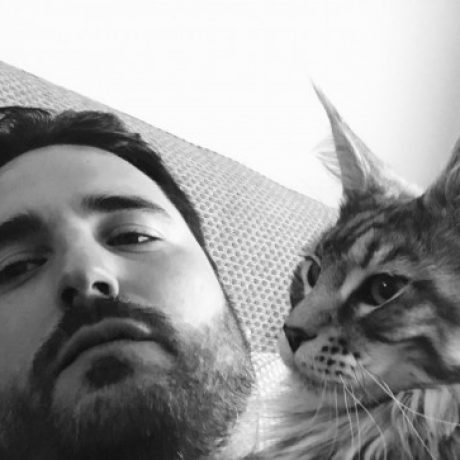 Foto del perfil de David Llavata